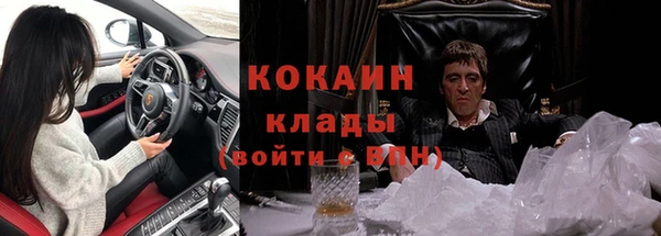 индика Верхний Тагил