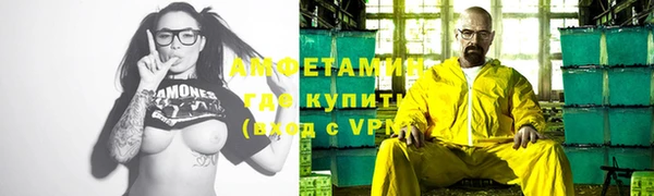 индика Верхний Тагил