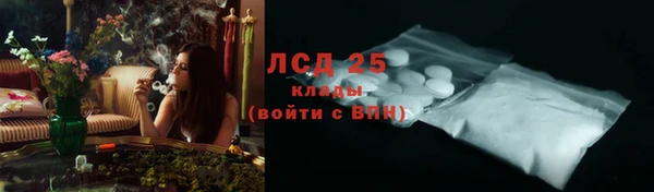индика Верхний Тагил