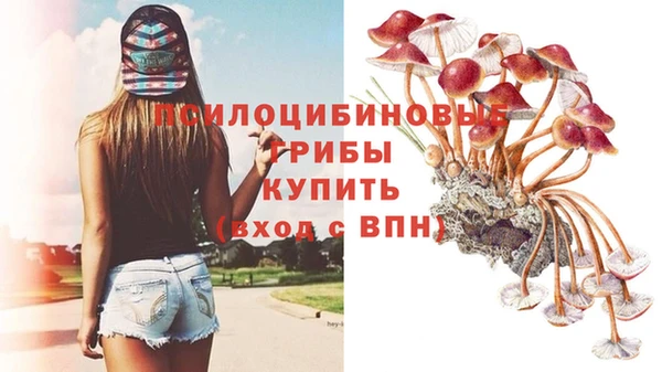 мет Верея