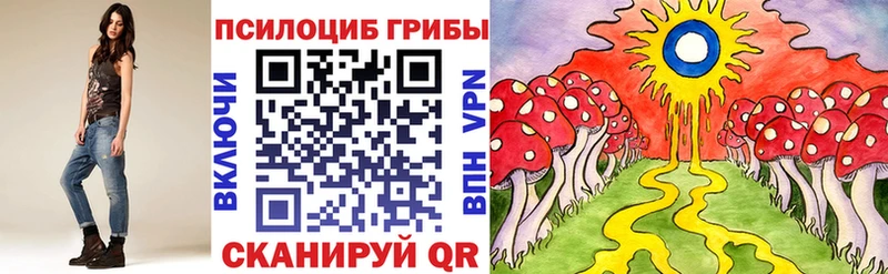 Галлюциногенные грибы Magic Shrooms  закладки  Гусев 