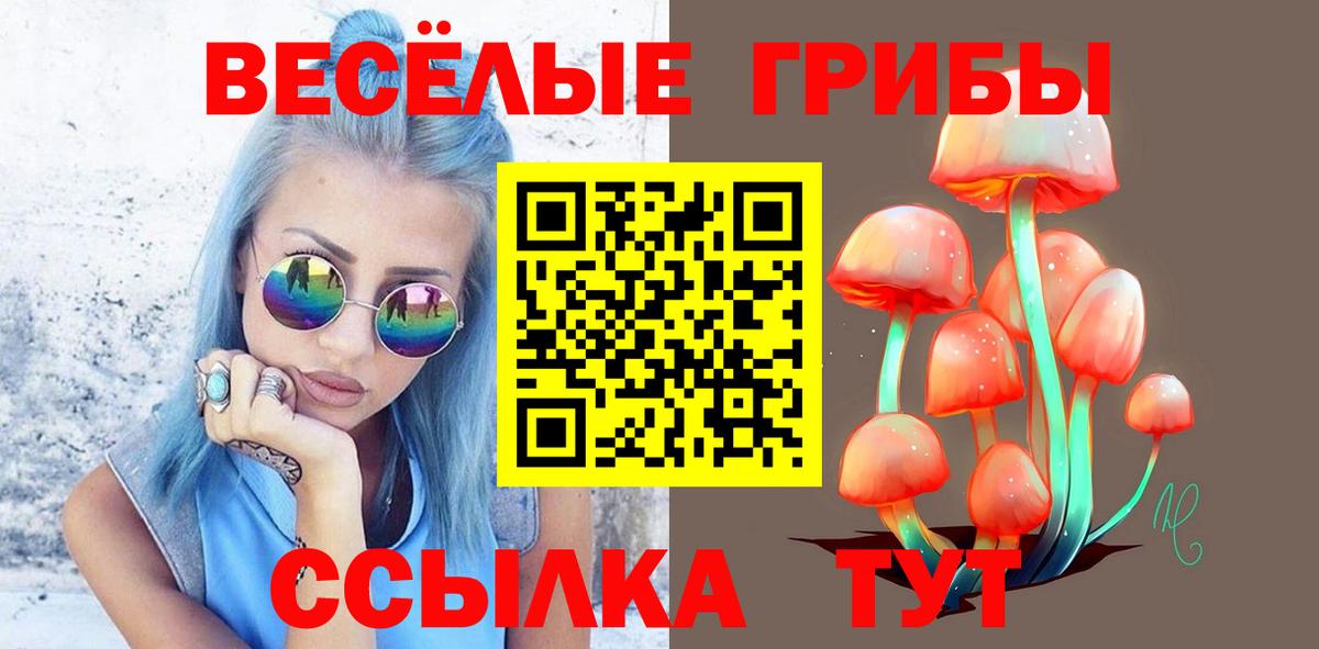 Галлюциногенные грибы Psilocybine cubensis Гусев