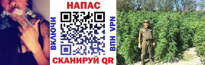 мега зеркало  где купить наркотик  Гусев  Бошки Шишки тримм 